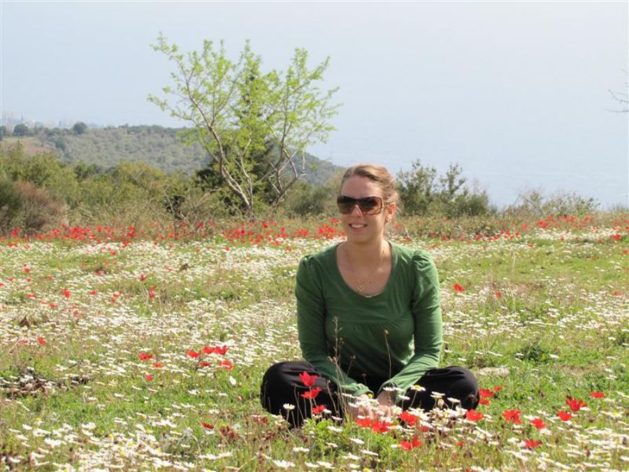 נטע פורחת בין הכלניות